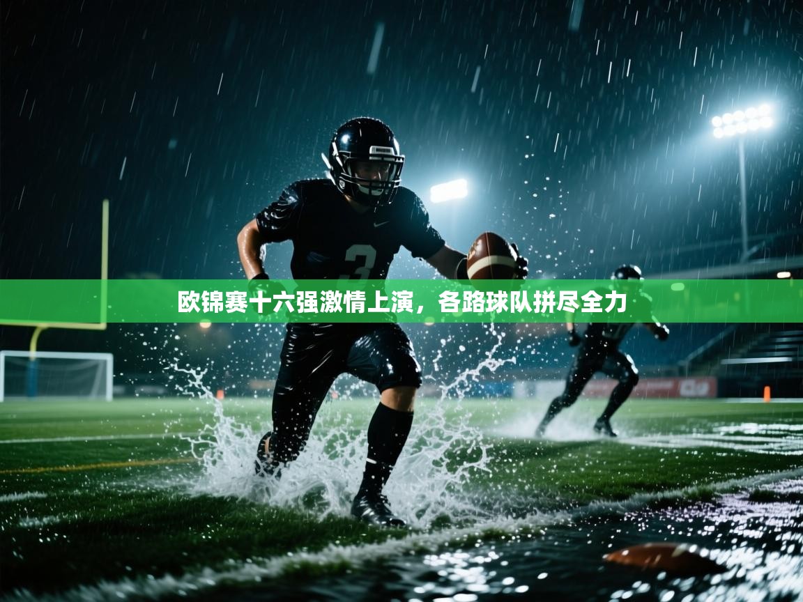 欧锦赛十六强激情上演,各路球队拼尽全力 第2张