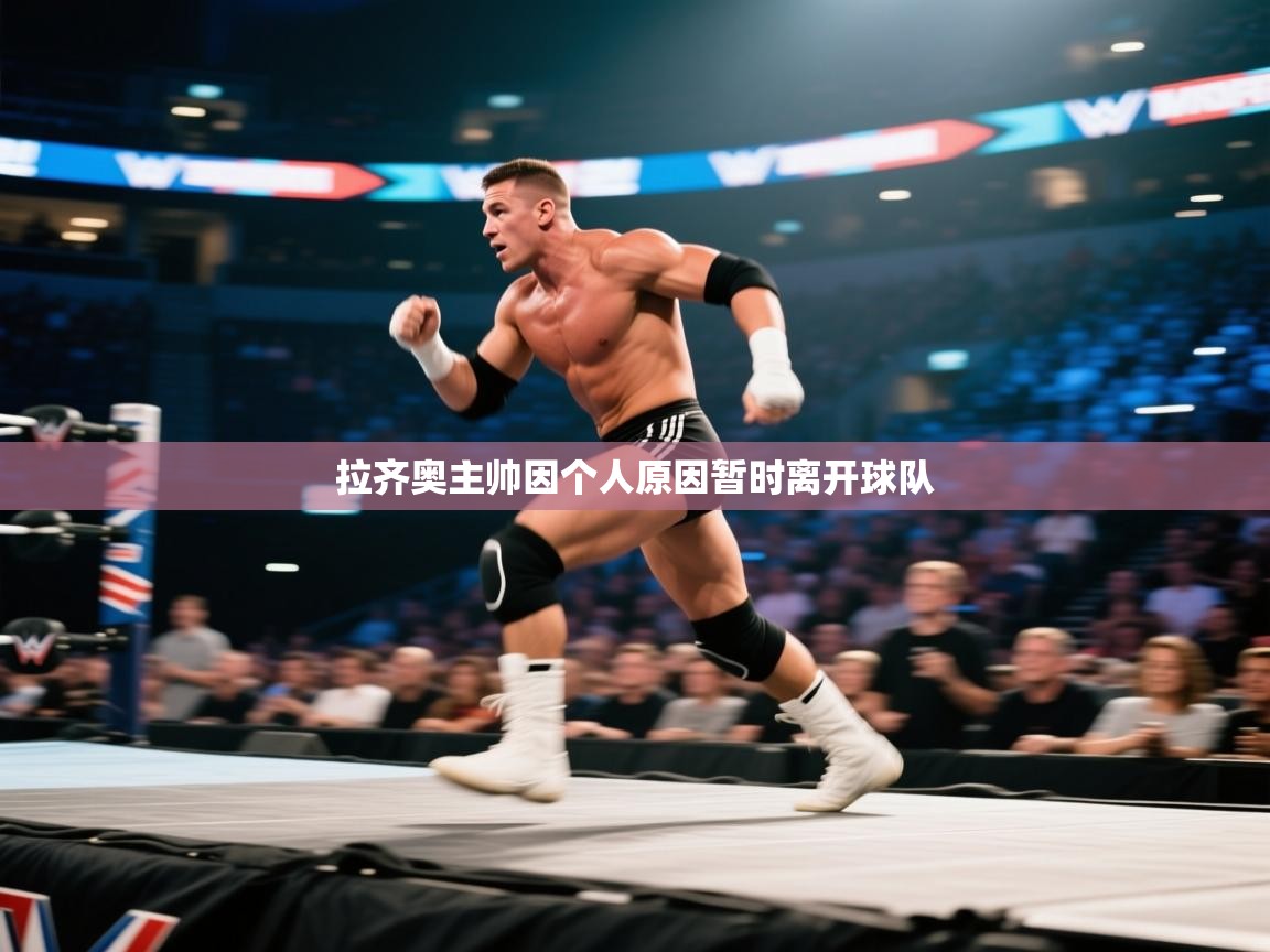 拉齐奥主帅因个人原因暂时离开球队 第1张