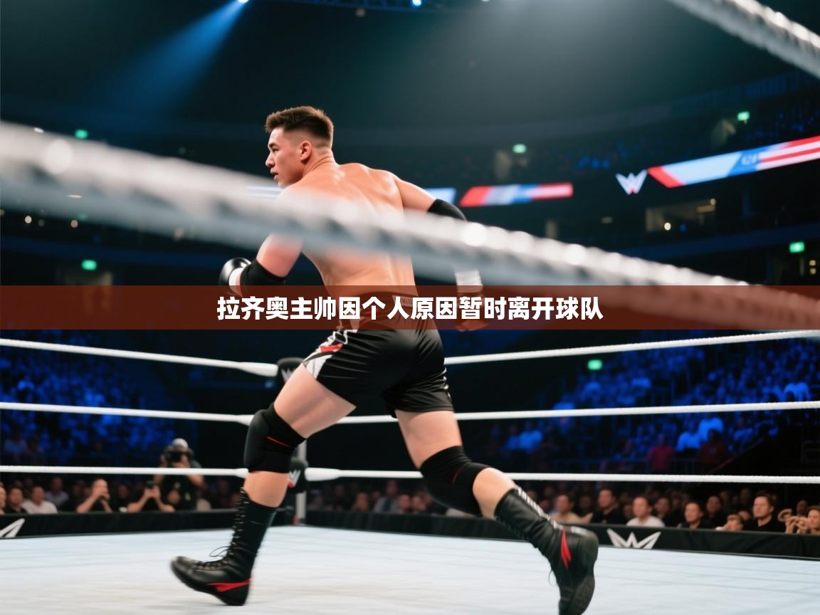 拉齐奥主帅因个人原因暂时离开球队 第2张