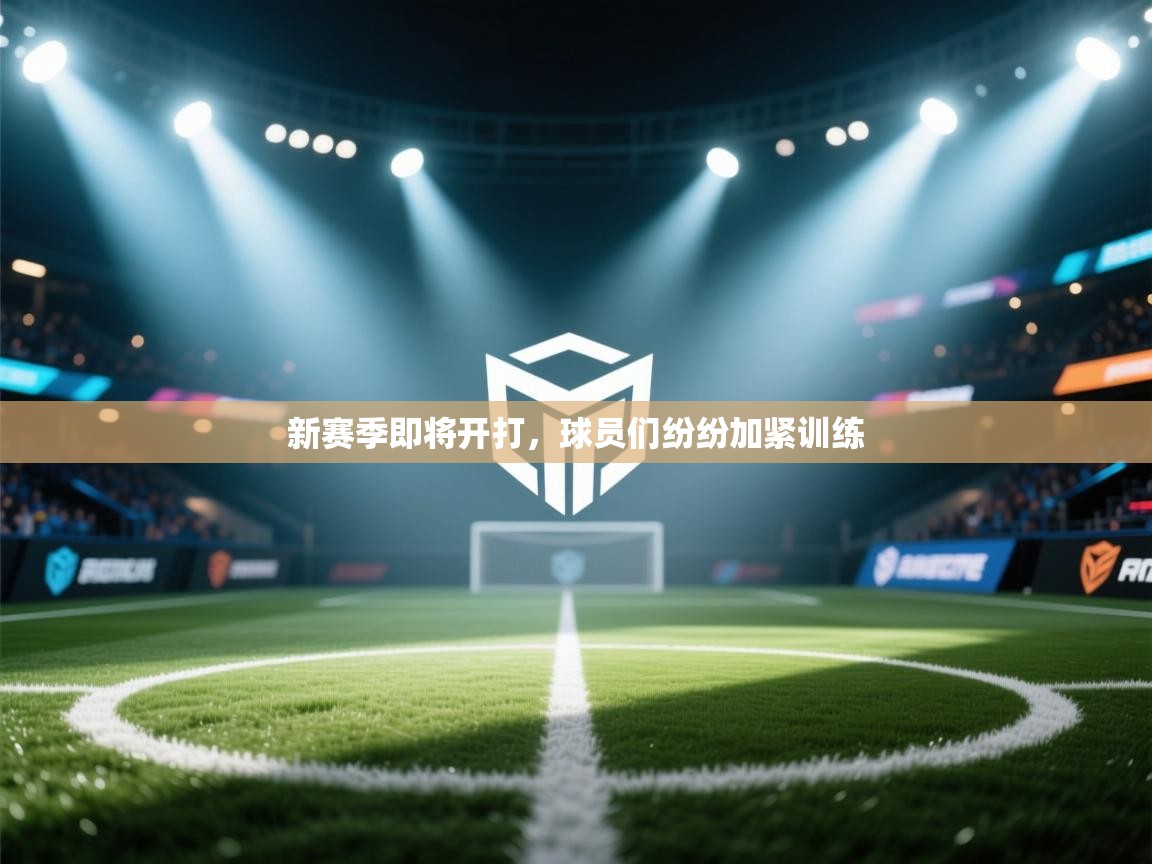 新赛季即将开打，球员们纷纷加紧训练  第2张