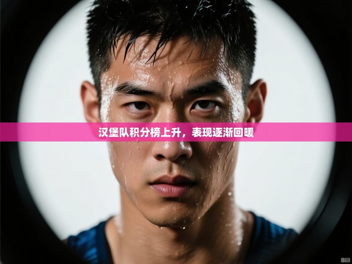 汉堡队积分榜上升，表现逐渐回暖  第1张