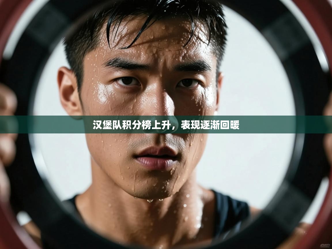 汉堡队积分榜上升，表现逐渐回暖  第2张