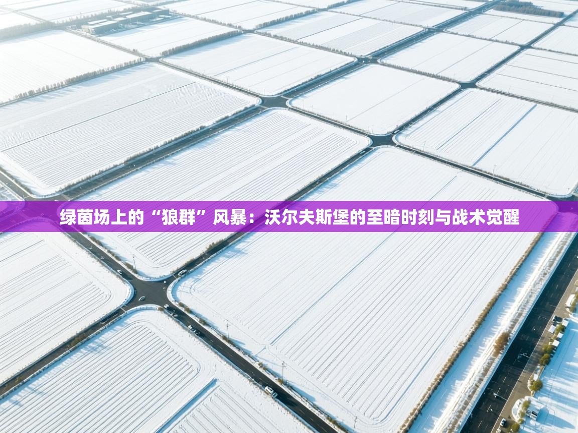 绿茵场上的“狼群”风暴：沃尔夫斯堡的至暗时刻与战术觉醒  第2张