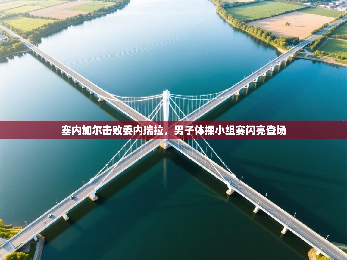 塞内加尔击败委内瑞拉，男子体操小组赛闪亮登场  第1张