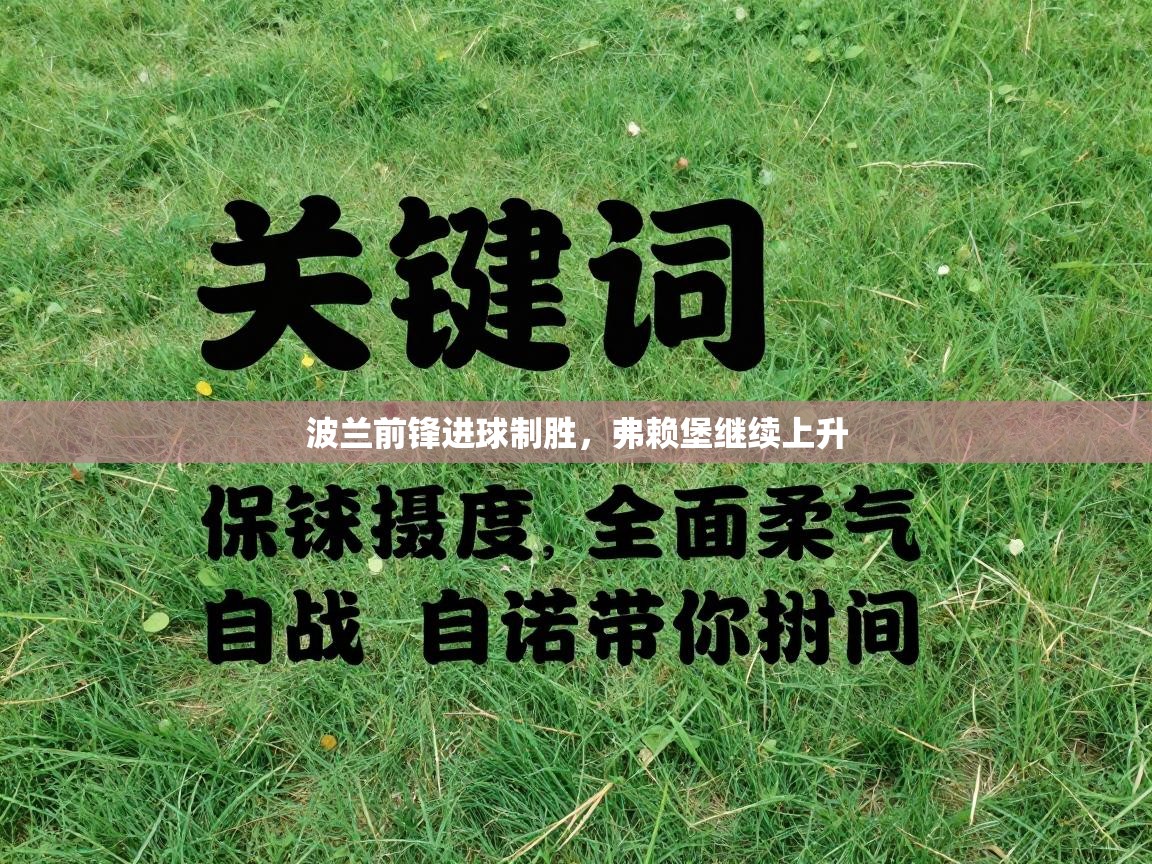 波兰前锋进球制胜，弗赖堡继续上升  第1张