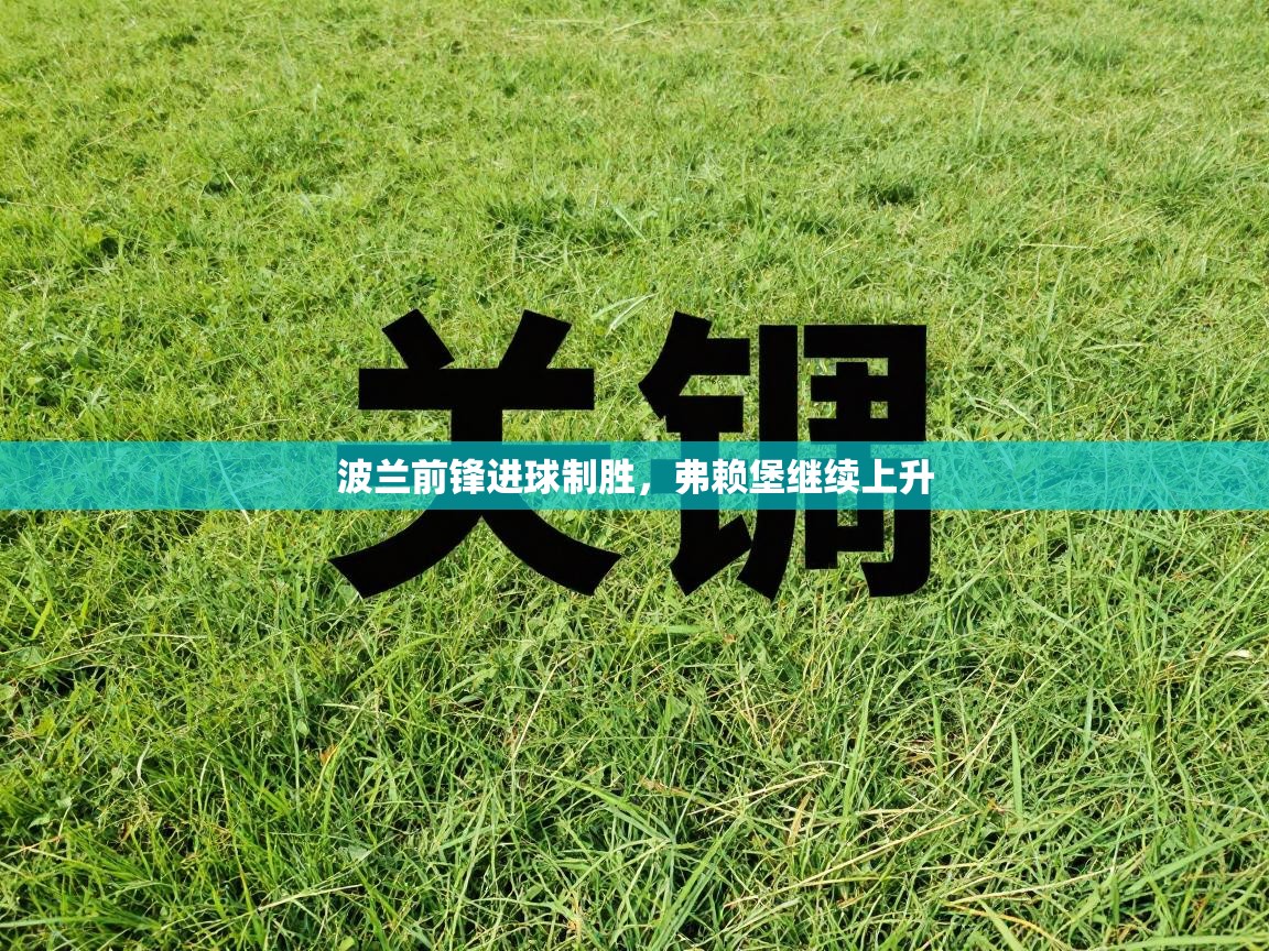 波兰前锋进球制胜，弗赖堡继续上升  第2张